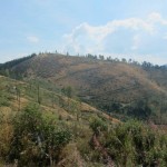 129 150x150 GALERIE FOTO Imagini apocaliptice din Făgăraş. Cel mai înalt lanţ muntos din România a căzut pradă tăietorilor de lemne