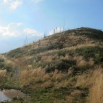151 150x150 GALERIE FOTO Imagini apocaliptice din Făgăraş. Cel mai înalt lanţ muntos din România a căzut pradă tăietorilor de lemne