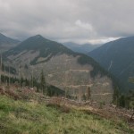 162 150x150 GALERIE FOTO Imagini apocaliptice din Făgăraş. Cel mai înalt lanţ muntos din România a căzut pradă tăietorilor de lemne