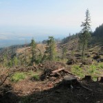 76 150x150 GALERIE FOTO Imagini apocaliptice din Făgăraş. Cel mai înalt lanţ muntos din România a căzut pradă tăietorilor de lemne