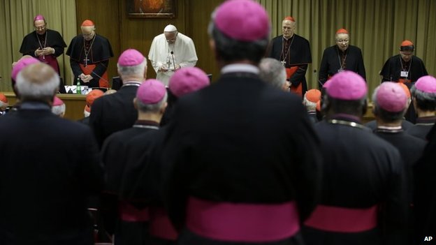 HOMOSEXUALII sunt dezamăgiți. Sinodul BISERICII CATOLICE de la Vatican a respins raportul privind o mai largă acceptare a homosexualilor