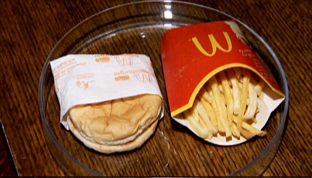 Six Year Old McDonalds Burger That Has Stayed The Same